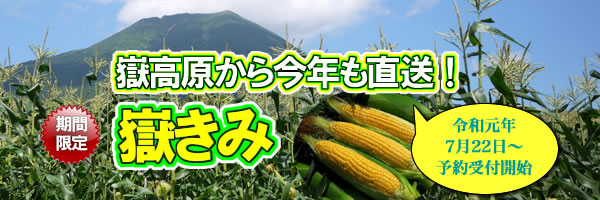 青森県産とうもろこし嶽きみ,だけきみ,通販