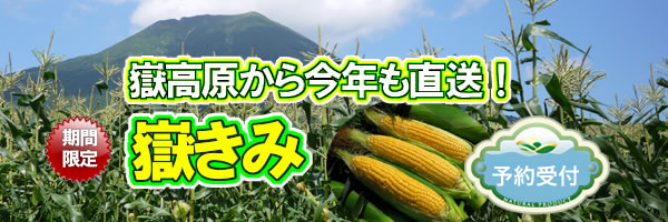 青森県産とうもろこし嶽きみ,だけきみ,通販