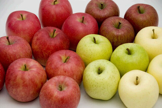 色々な種類のりんご。
