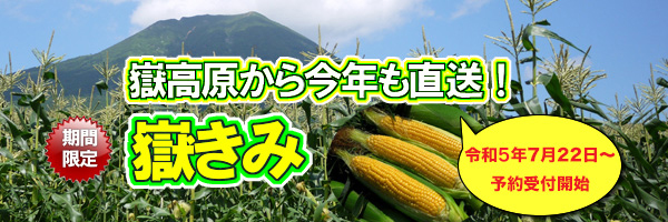 青森県産とうもろこし嶽きみ,だけきみ,通販