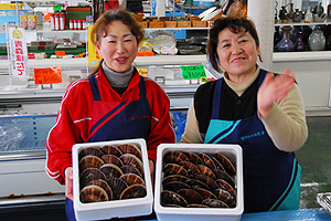 ホタテ 活ホタテ 陸奥湾産青森ホタテ 販売